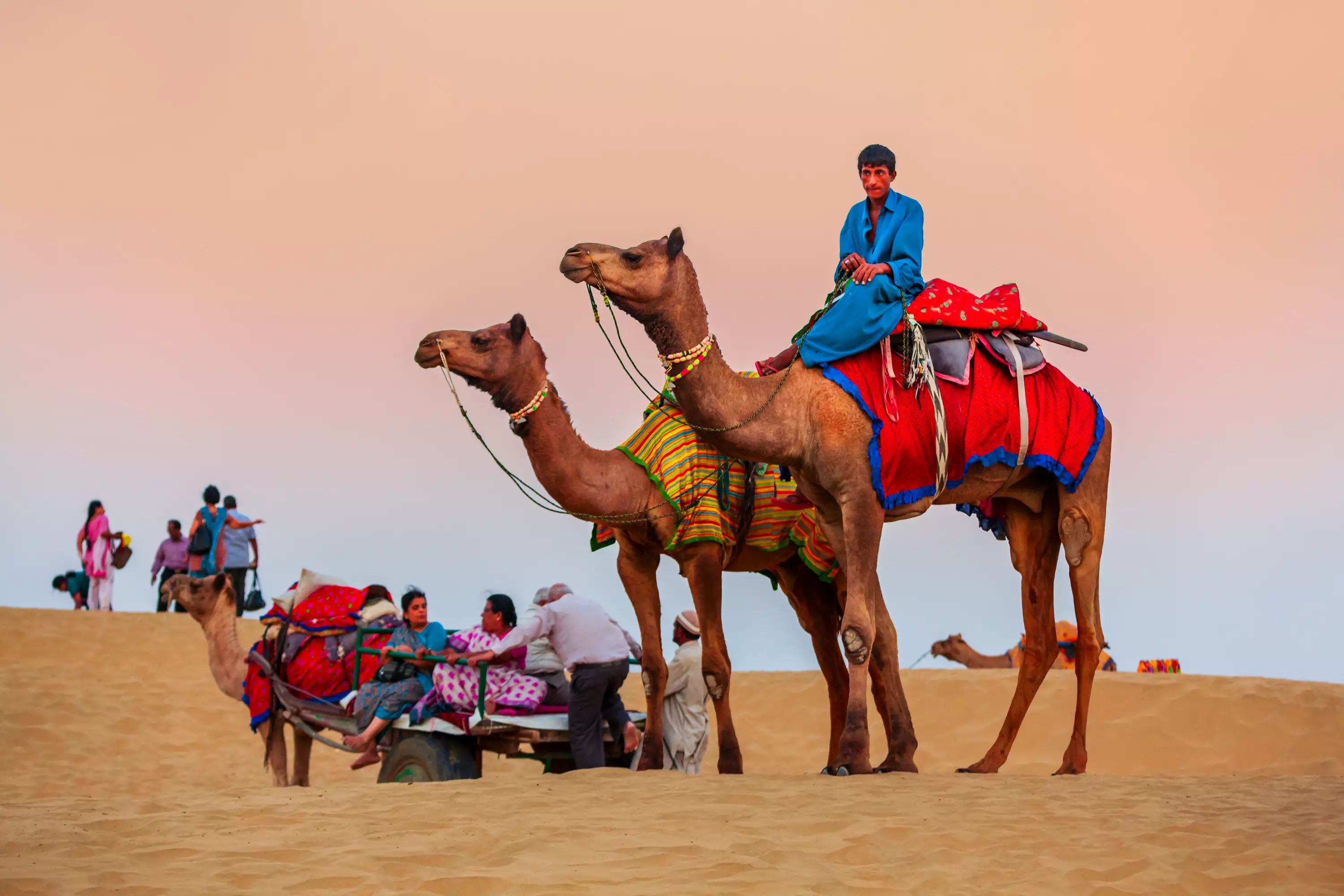 Camel Safari, Activity on the Back of Camel