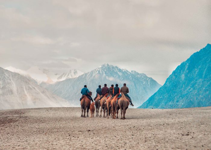 Stay, Eat & Permit in Leh Ladakh