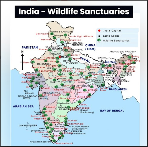 List of Wildlife Sancturies in India